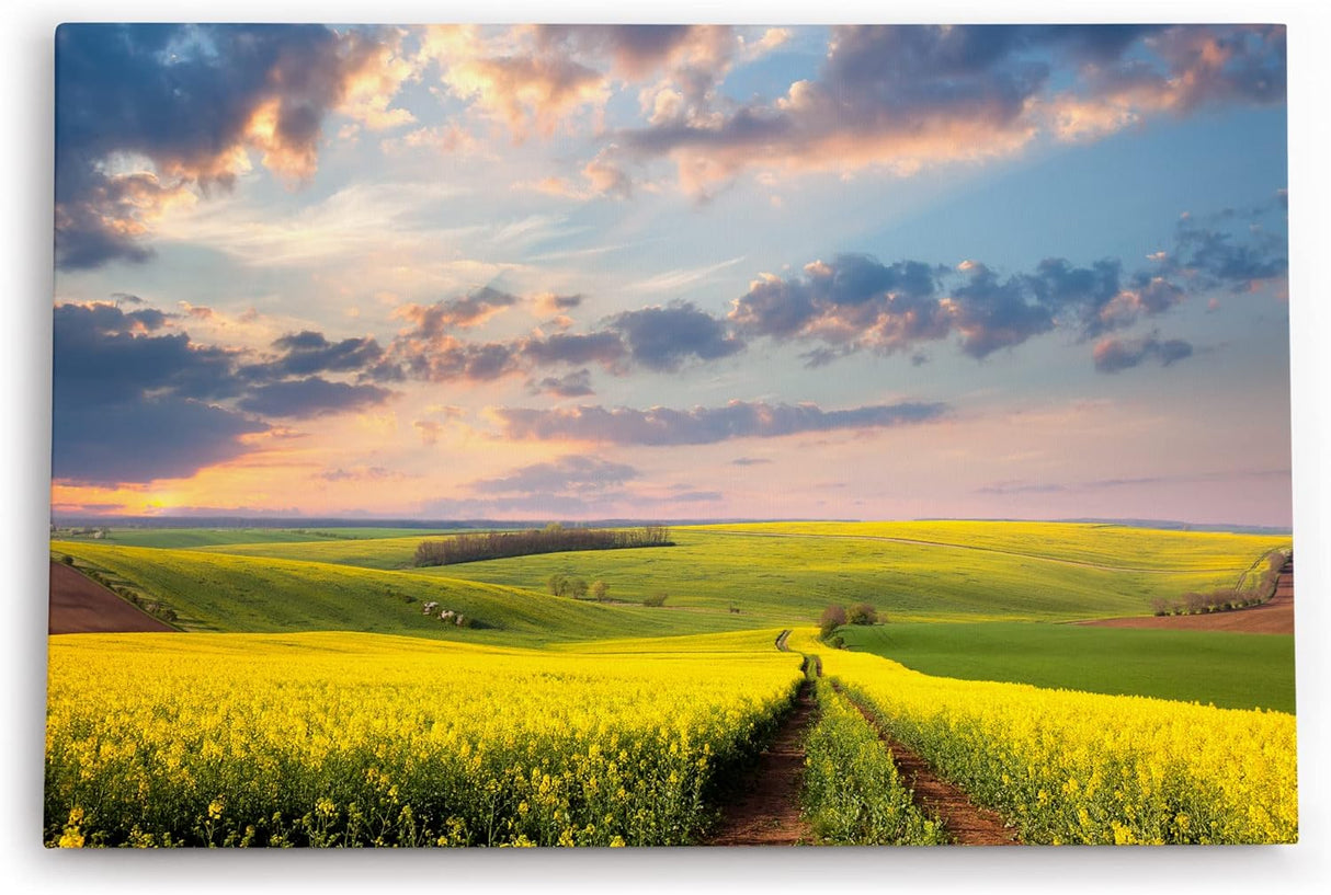 Paul Sinus Wandbild 120x80cm Landschaft Felder Himmel Natur Gelb Horizont