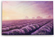 Paul Sinus Wandbild 120x80cm Lavendel Blumen Violett Lavendelfeld Abstrakt Kunstvoll