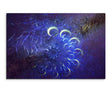 full_Abstrakt_1123_120x80cm_FRONT_1280x1280.jpg