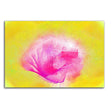 full_Abstrakt024_120x80cm_FRONT_1280x1280.jpg