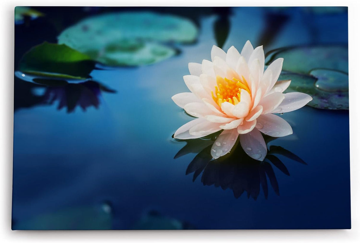 Paul Sinus Wandbild 120x80cm Lotosblume Blume Blüte Kunstvoll Lotos Rosa Wasserblumen