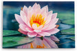 Paul Sinus Wandbild 120x80cm Lotosblume Blume Blüte Kunstvoll Lotos Wasserblume