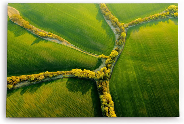 Paul Sinus Wandbild 120x80cm Luftaufnahme grüne Felder Natur Landschaft