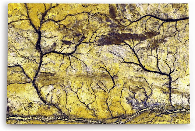 Paul Sinus Wandbild 120x80cm Luftaufnahme von der Erde Vogelperspektive Flussadern