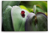 Paul Sinus Wandbild 120x80cm Makrofotografie Blume Blüte Blätter Nahaufnahme