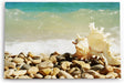 Paul Sinus Wandbild 120x80cm Muschel Strand runde Steine Meer Sommer Sonne
