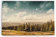 Paul Sinus Wandbild 120x80cm Natur Berge Landschaft Tannenwald Bäume weiße Wolken