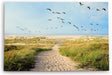 Paul Sinus Wandbild 120x80cm Ostsee Strand Sand Meer Entenflug Horizont