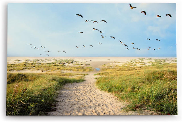 Paul Sinus Wandbild 120x80cm Ostsee Strand Sand Meer Entenflug Horizont
