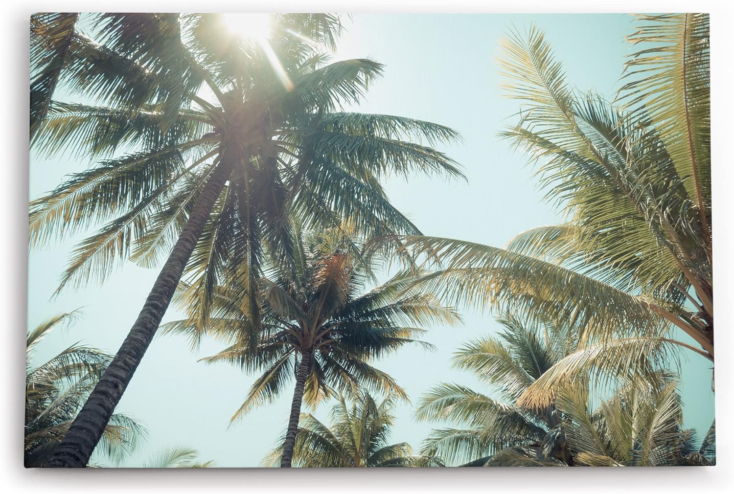 Wandbild 120x80cm Palmen Palmblätter Sommer Sonnenschein Süden