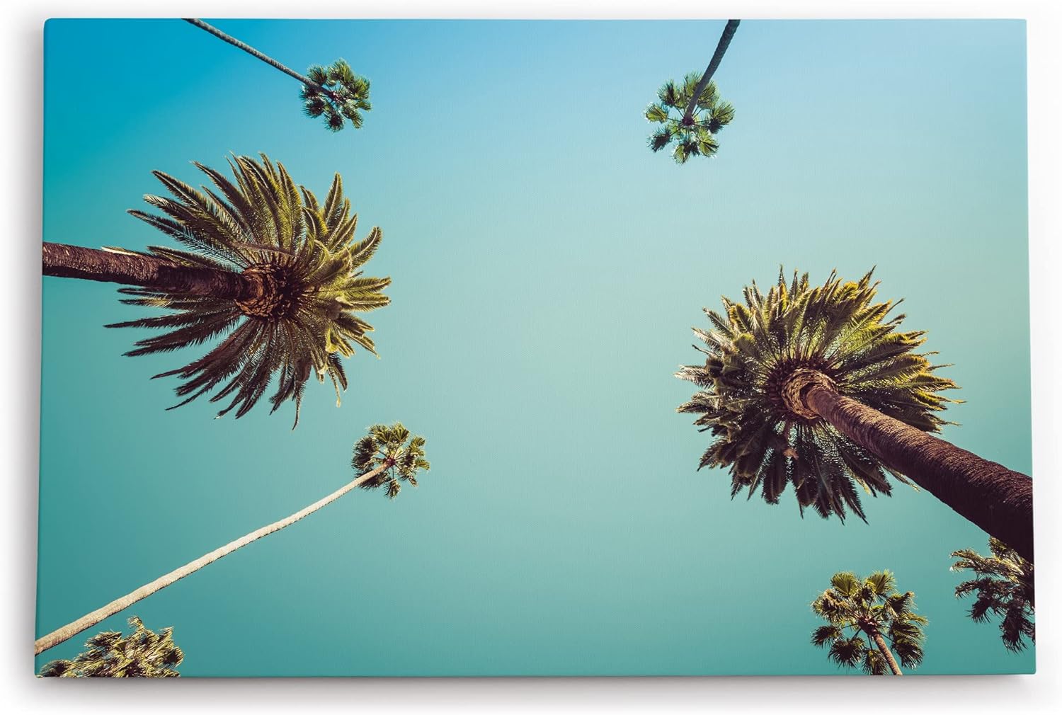Wandbild 120x80cm Palmen Süden Sonnenschein Sommer Himmel Kunstvoll