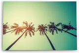 Wandbild 120x80cm Palmen Süden Sonnenschein Sommer Himmel Kunstvoll