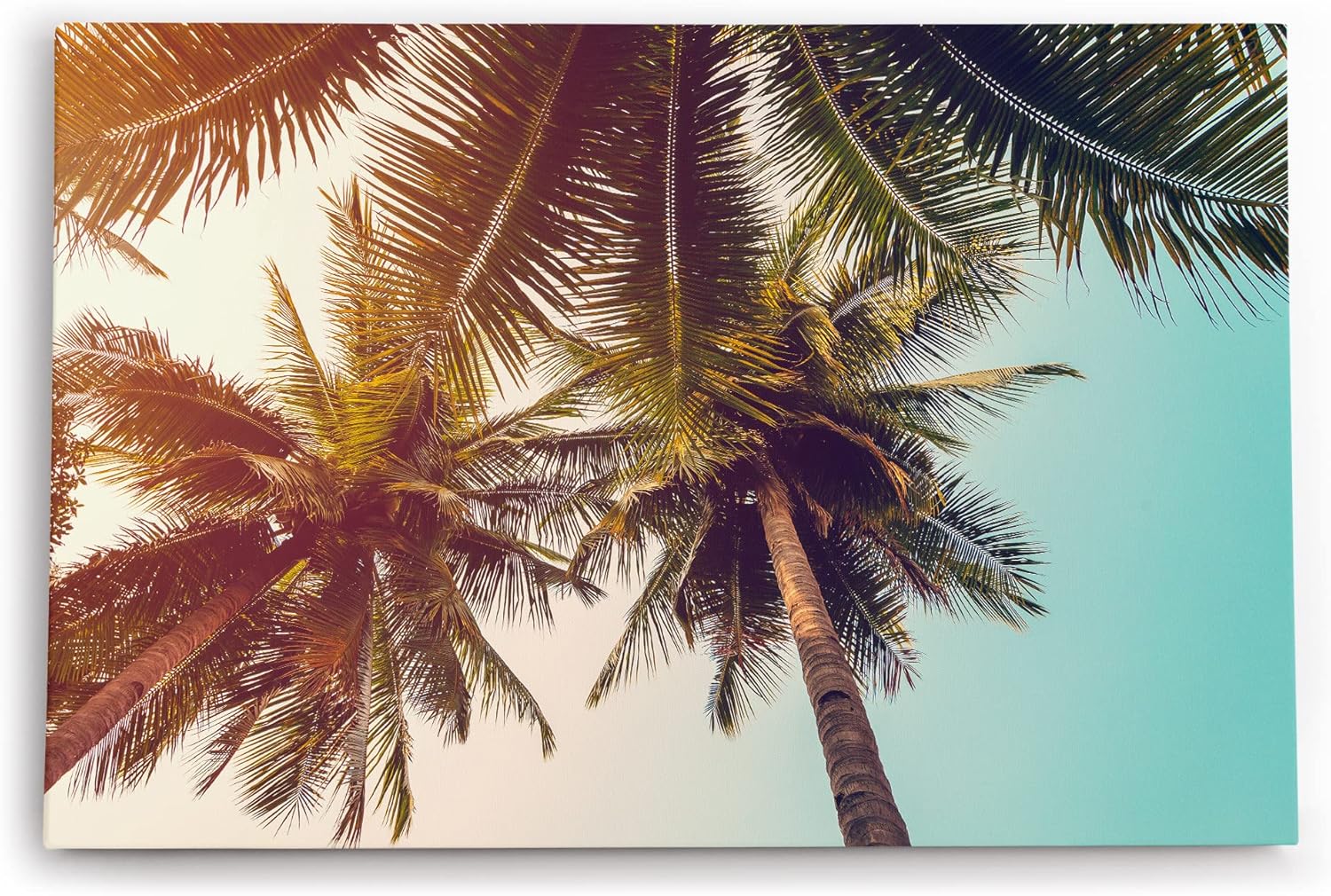 Wandbild 120x80cm Palmen Süden Sonnenschein Sommer Himmel Südsee
