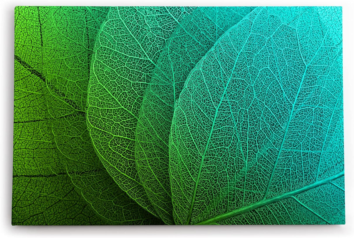 Paul Sinus Wandbild 120x80cm Pflanzenblatt grünes Blatt Nahaufnahme Dekorativ