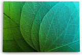 Paul Sinus Wandbild 120x80cm Pflanzenblatt grünes Blatt Nahaufnahme Dekorativ