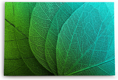 Paul Sinus Wandbild 120x80cm Pflanzenblatt grünes Blatt Nahaufnahme Dekorativ
