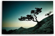 Paul Sinus Wandbild 120x80cm Sächsische Schweiz Baum Felsen Felsbaum Abend Fotokunst