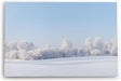 Paul Sinus Wandbild 120x80cm Schneelandschaft Schnee Bäume Weiß Winter