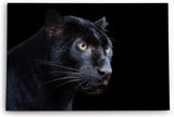 Paul Sinus Wandbild 120x80cm Schwarzen Panther Schwarz Raubkatze Leopard Jaguar