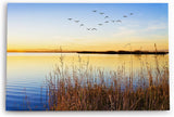 Paul Sinus Wandbild 120x80cm See Abendröte Sonnenuntergang Vögel Natur Horizont