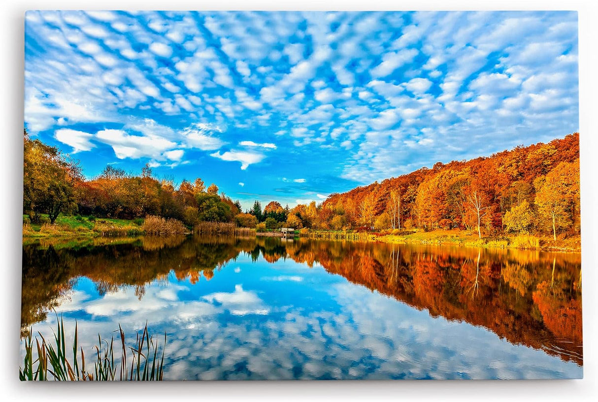 Paul Sinus Wandbild 120x80cm See blauer Himmel Wald Natur Cirrus Wolken Herbst