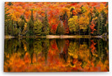 Paul Sinus Wandbild 120x80cm See Herbst Bäume Rot Wasserspieglung Natur