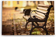 Wandbild 120x80cm Sitzbank Holzbank Park Herbst Sonnenschein