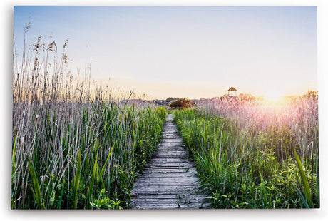Paul Sinus Wandbild 120x80cm Sommer Sonnenaufgang Holzweg Natur Gras Strandweg