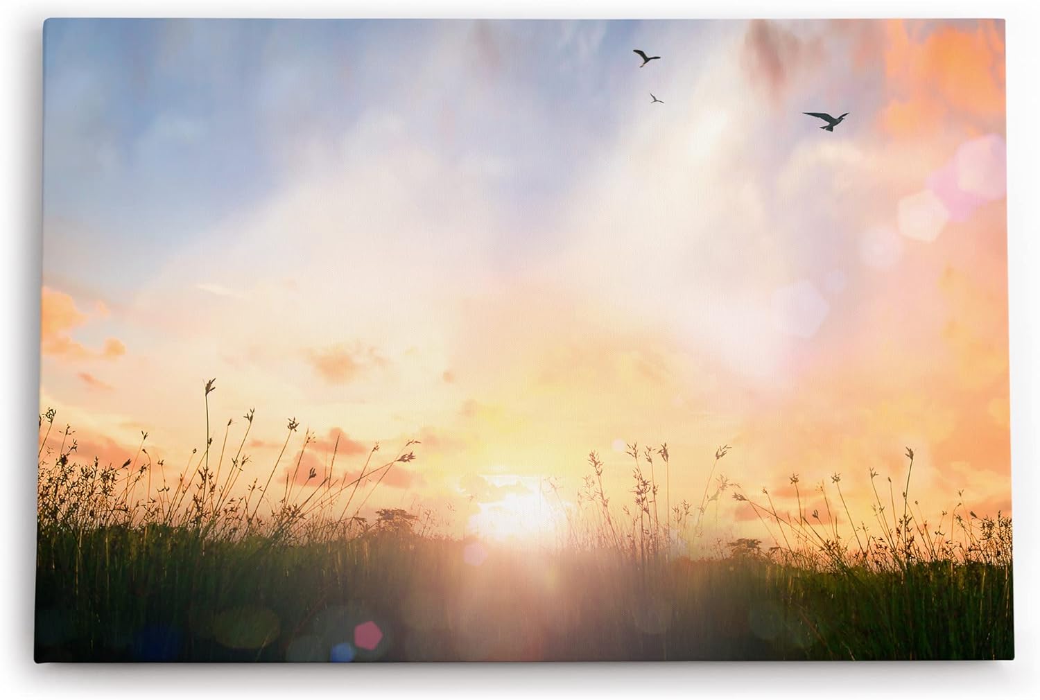 Paul Sinus Wandbild 120x80cm Sommerwiese Sonnenuntergang Vögel Halme Natur