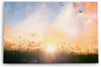 Paul Sinus Wandbild 120x80cm Sommerwiese Sonnenuntergang Vögel Halme Natur