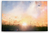 Paul Sinus Wandbild 120x80cm Sommerwiese Sonnenuntergang Vögel Halme Natur