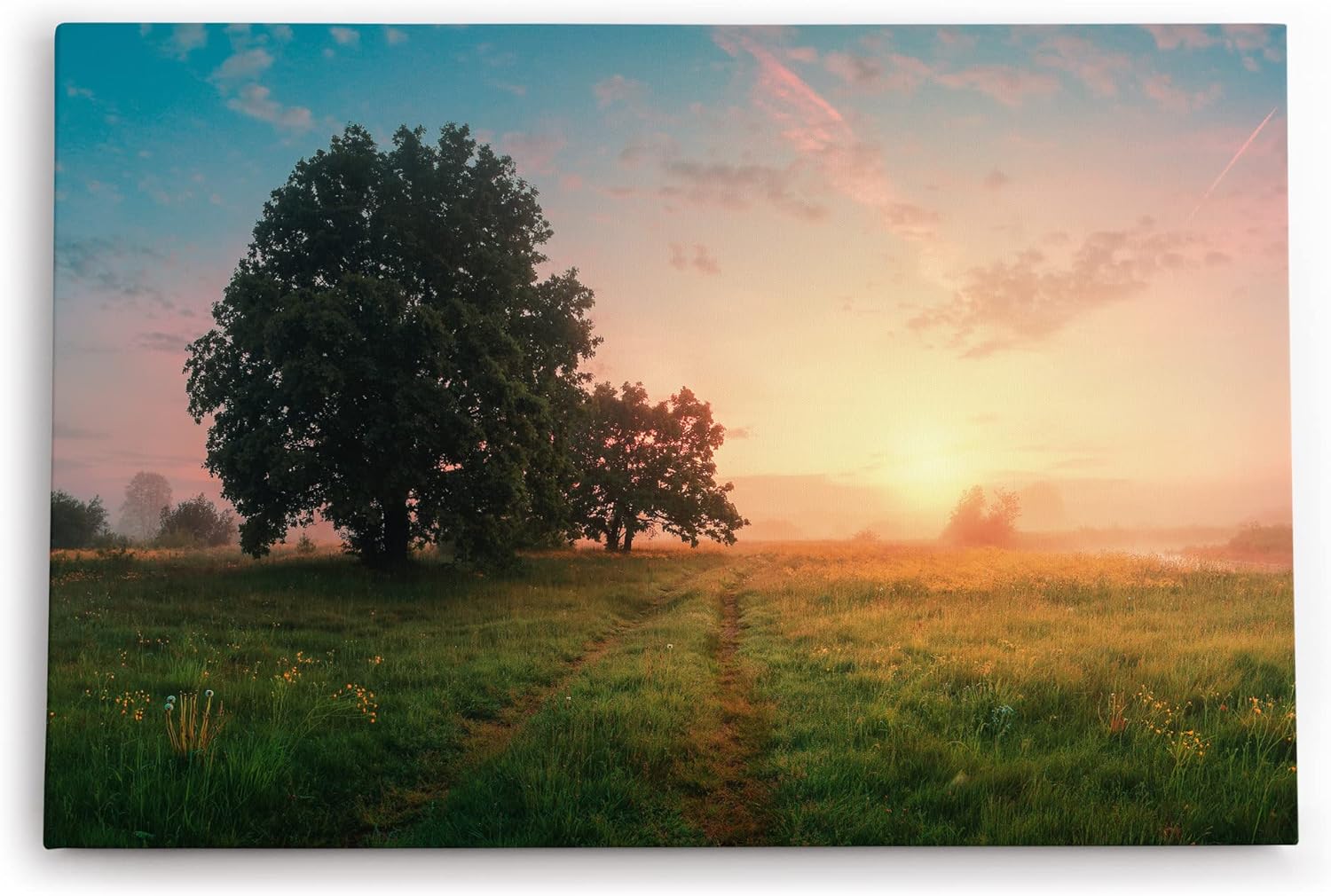 Wandbild 120x80cm Sonnenaufgang Natur Landschaft Nebel Baum Wiese