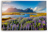 Paul Sinus Wandbild 120x80cm Stokksnes Inland Berge Landschaft Blumen See Natur