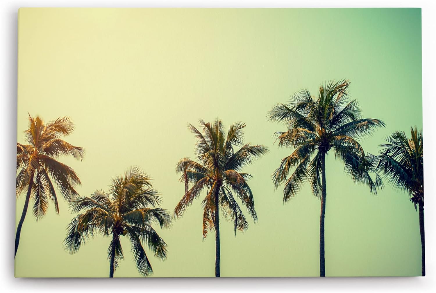 Wandbild 120x80cm Südseeparadies Palmen Sonne Sommer Grün