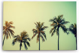 Wandbild 120x80cm Südseeparadies Palmen Sonne Sommer Grün