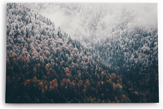 Paul Sinus Wandbild 120x80cm Tannenwald Wald Berg Natur Bäume Nebel Kunstvoll