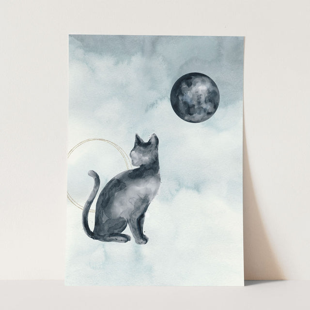 Animals_Aqua_0047_1280x1280.jpg
