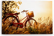 Paul Sinus Wandbild 120x80cm Vintage Fahrrand im Feld Sommer Sonnenuntergang Weizenfeld