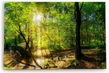 Paul Sinus Wandbild 120x80cm Wald Bäume Bach Sonnenstrahlen Natur Grün