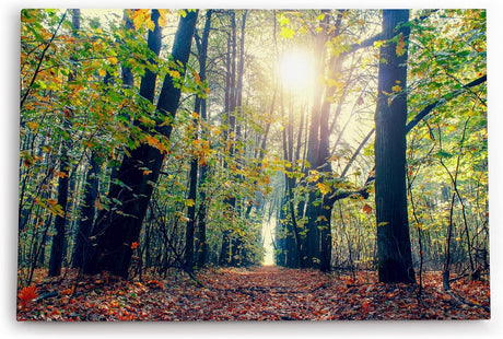 Wandbild 120x80cm Wald Bäume Baumkronen Sonnenschein Natur Grün