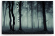 Paul Sinus Wandbild 120x80cm Wald Bäume Dunkel Schwarz Nebel Herbst Mystisch