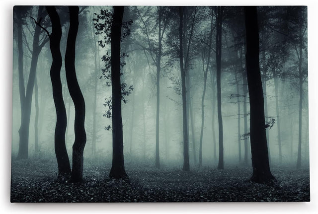 Paul Sinus Wandbild 120x80cm Wald Bäume Dunkel Schwarz Nebel Herbst Mystisch