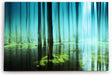 Paul Sinus Wandbild 120x80cm Wald Bäume See Wasserwald Kunstvoll Sonnenlicht Blau