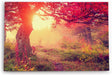 Wandbild 120x80cm Wald Herbst rote Blätter Natur Baum Eiche Sonnenschein