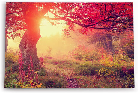 Wandbild 120x80cm Wald Herbst rote Blätter Natur Baum Eiche Sonnenschein