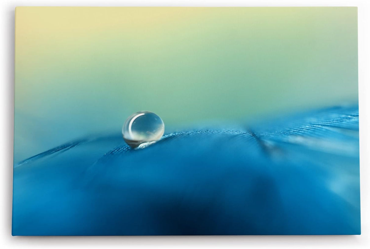 Paul Sinus Wandbild 120x80cm Wassertropfen auf Feder Blau Makrofotografie Türkis