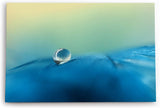 Paul Sinus Wandbild 120x80cm Wassertropfen auf Feder Blau Makrofotografie Türkis
