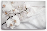 Paul Sinus Wandbild 120x80cm Weiß Orchidee Blumen Blüten Hell Fotokunst