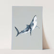 Ocean_Aqua_0012_1280x1280.jpg