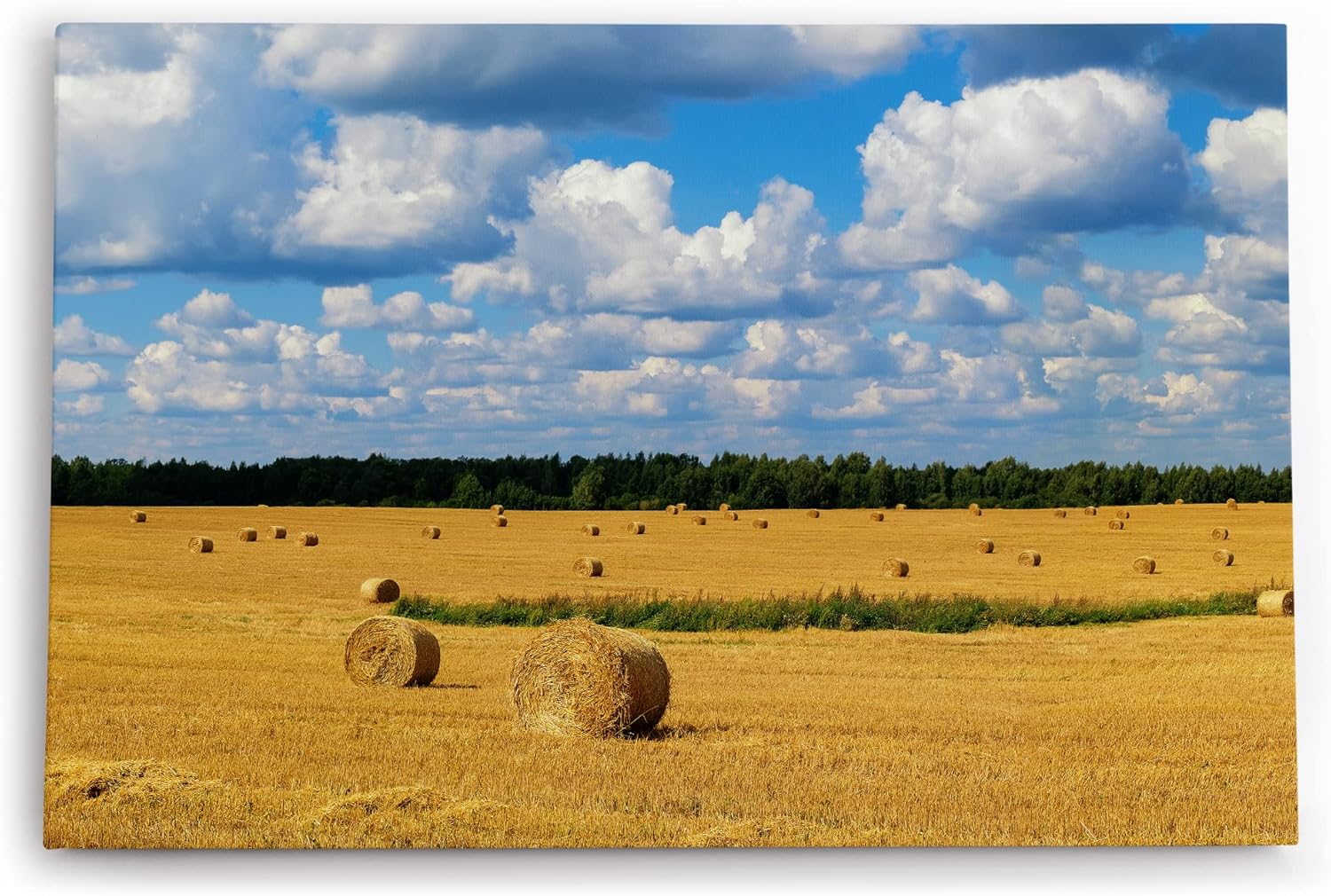 Paul Sinus Wandbild 120x80cm Weizenfeld Weizenernte Feld Natur weiße Wolken
